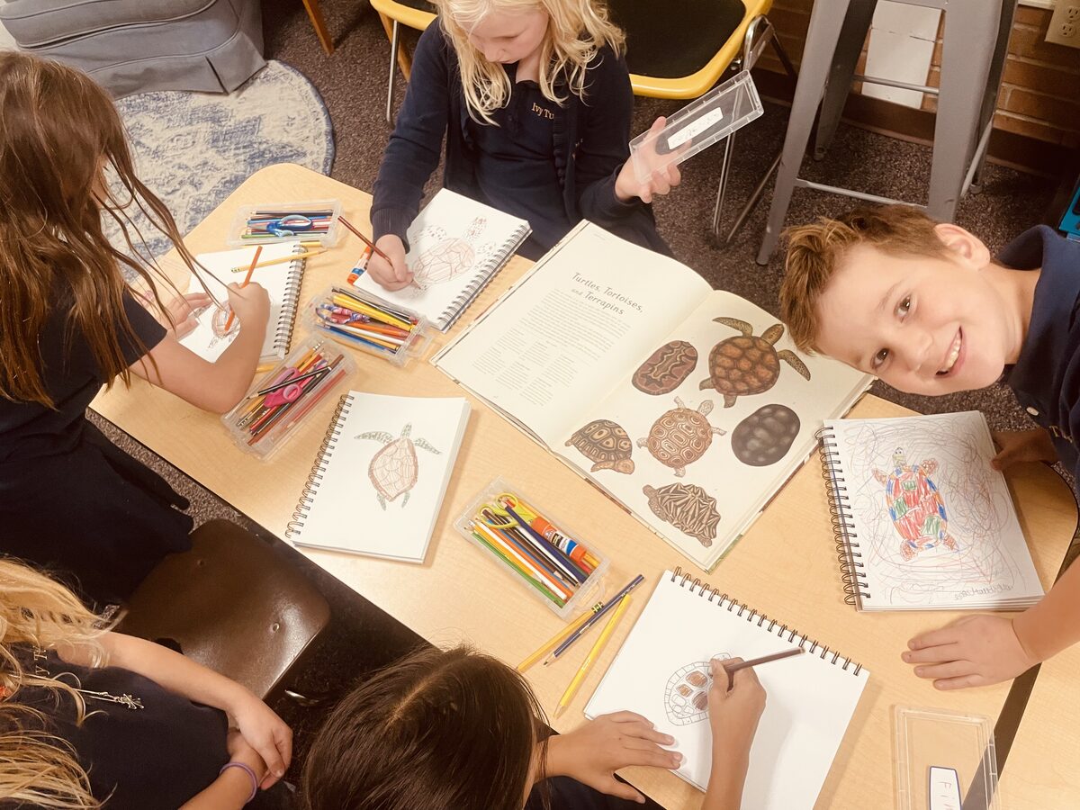 Students drawing botanical illustrations in nature journals