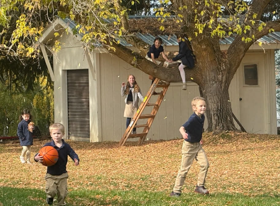 Students playing outdoors in fall
