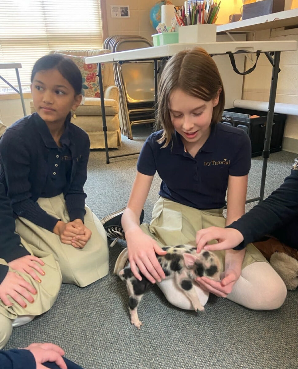 Students interacting with a piglet during a nature visit